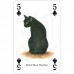Heritage Illustrated Playing Cards - Cats 1012