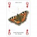 Heritage Illustrated Playing Cards - Butterflies 1024
